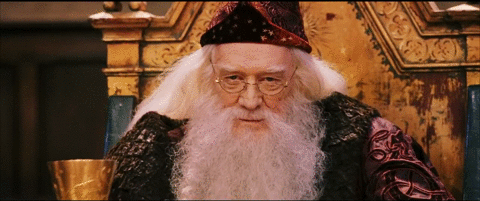 dumbledore.gif